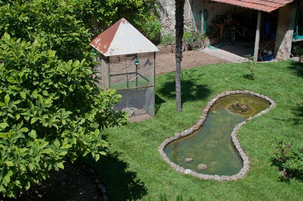 לינה וארוחת בוקר פיזה Borgo Largo 51 מראה חיצוני תמונה